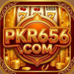 PKR656.COM